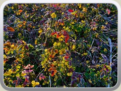 26-04-22_02468a
