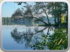 26-05-29_03704a