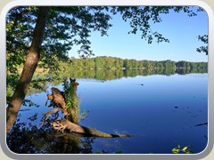 26-05-29_03707a