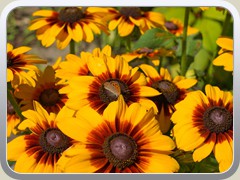 26-07-11_06140a