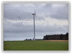 7.12.: Abenteuerflug durch die Windr�der?