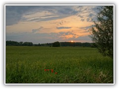 30.6.: Sonnenuntergang auf dem Ptzer Plan.