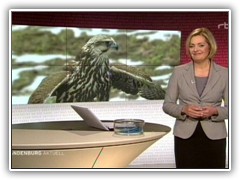 Die Ank�ndigung des Wetterberichts um 19:55 Uhr im rbb