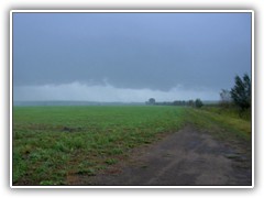 6.10.: Die Kaltfront zieht ber den Ptzer Plan mit Sturm und krftigem Regen. Die Temperatur sank von 19 auf 11 Grad C.