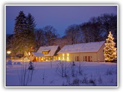 25.12.: Eine weihnachtlich strahlende Tanne neben dem Forsthaus