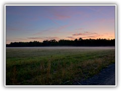 29.9.: Nach Sonnenuntergang bildeten sich Nebel ber den Wiesen.