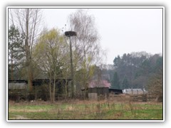 6.4.: Heute Nachmittag kam die Meldung: der Storch ist angekommen. Also sind Dagmar Jaschen und ich sofort zum Nest, aber Fehlanzeige! Also, weiter warten.