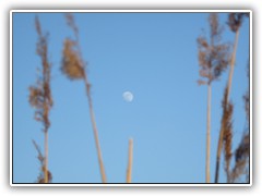 25.4.10: Hier etwas n�her