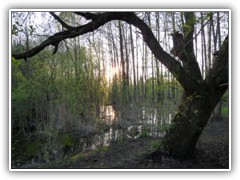 Am P�tzer Hintersee