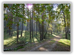 10.10.: Herbststimmung in den P�tzer Bergen