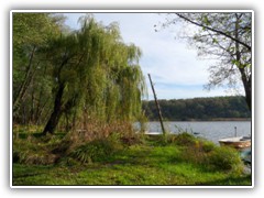 23.10.: Zahlreiche K�hne liegen hier vor Anker