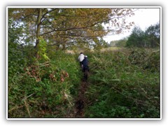 23.10.: Die n�chste morastige Stelle ist erreicht