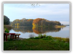 30.10.: Der H�rning am P�tzer Vordersee