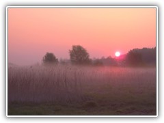 19.4.: Kurz nach Sonnenaufgang war die Natur in ein rtliches Licht getaucht.