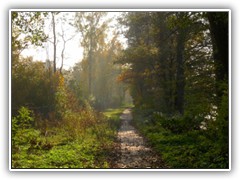 29.10.: Uferweg entlang des P�tzer Vordersees.