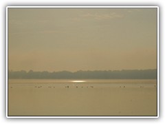 4.9.: Im Morgendunst spiegelte sich die Sonne auf dem Ptzer Vordersee hinter einer Entenschar.