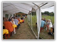 8.9.: Der Bestenseer Weinbauverein lud zum 1. Federweierfest auf den Mhlen-/Weinberg. Weitere Fotos im Federweier-Ordner vom 8.9. 