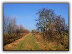 Feldweg neben einem Entwsserungsgraben.