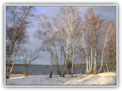 11.1.: Blick auf den Ptzer Vordersee.