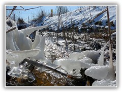 24.3.: An einem kleinen Wasserfall in einem Entwsserungsgraben bildeten sich bizarre Eisgebilde. Weitere Fotos im Winter-Ordner vom 25.3. 