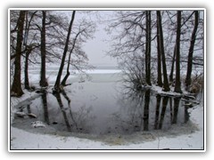 29.3.: Aber tagsber taute es und auch der Ptzer Vordersee hatte wieder eisfreie Stellen.