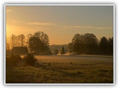 4.5.: Auf Wiesen bildete sich leichter Bodennebel.