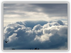 20.8.: ber den Wolken? Nein, vom Feld aufgenommen. Diese Wolke schwebte am Horizont ber den Baumwipfeln.