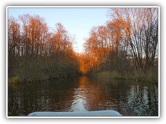 R�tlich leuchteten die B�ume am Liepe-Graben in der Abendsonne.