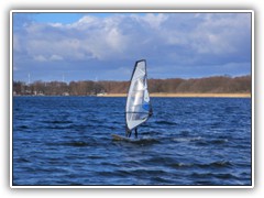 16.2.: Ein ganz Mutiger: surfen im eisigen Wasser.