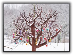 17.1.: Am Rohrbaum vor dem Forsthaus tragen die noch hngenden Weihnachtskugeln eine Schneehaube.
