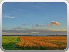 10.10.: Farbenfrohe abgeerntete Felder auf dem Ptzer Plan. Links oben ist der Mond zu sehen.