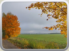 Herbstfarben am Grbendorfer Weg.