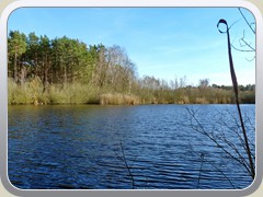 3.3.: Blick auf den kleinen Sutschke-See. Weitere Fotos im Sutschke-Ordner vom 3.3.</a