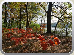 Herbstliche Farben am Ufer des Ptzer Tonsees.