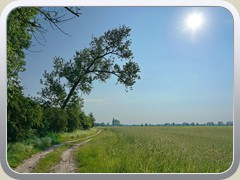 Grbendorfer Weg zum Ptzer Plan.