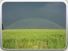 Es regnete noch, die Sonne schien, und ein Regenbogen bildete sich.