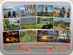 18-10k_LAUSL-Kalender 19_26a_1