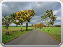 Der Hofjagdweg auf dem Marienhofer Berg.