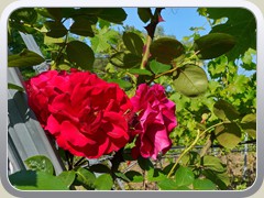 25-06-14_02814a