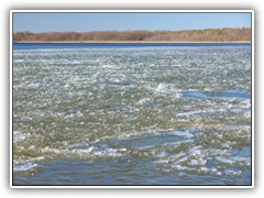 26.2.: Durch den Wind und die stndige Bewegung erzeugten die Eisschollen ein stndiges rauschendes Gerusch. Weitere Fotos im  Radtour-Ordner vom 26.2. 