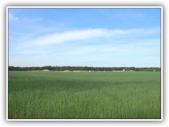 10.5.: Auf dem Marienhofer Berg sind die Arbeiten fr eine Erweiterung der Landkost-Ei-Hallen in vollem Gange.