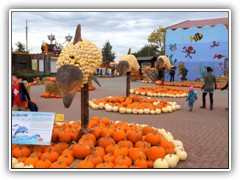 Parade der Krbisdelfine.