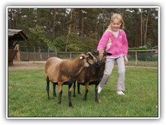 Einen Streichelzoo fr die Kinder gab es natrlich auch.