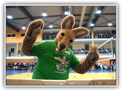 13.4.: Das Maskottchen der Netzhoppers animierte das Publikum beim Viertelfinal-Play-Off-Spiel der Volleyball-Bundesliga gegen Generali Haching.