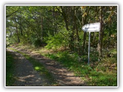 23.10.: Ein Besuch im Wald der Generationen ist eingeplant