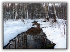 4.12.: Graben ber eine Wiese im Glunzbusch