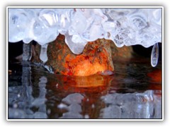 24.2.: Krftig rot leuchteten Wurzeln von im Wasser, bzw. Eis stehenden Erlen. Weiteres dazu im Februar-Ordner 'Eisskulpturen'